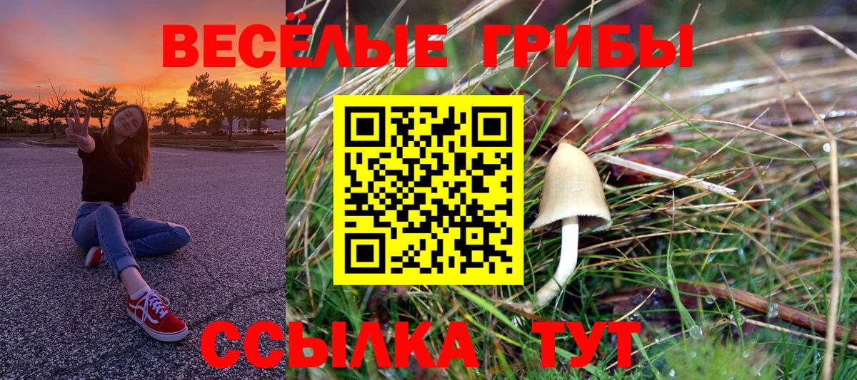 Псилоцибиновые грибы ЛСД Карталы